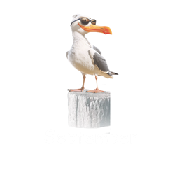09_Möwe Sept